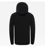 The North Face The North Face Tekno Logo Hoodie