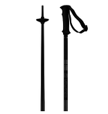 Salomon Salomon ARCTIC Black pole