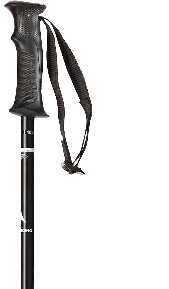 Salomon ATOMIC CLOUD W POLE