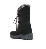 Mammal Mammal Oribi Moonboot OC
