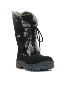 Mammal Oribi Moonboot OC