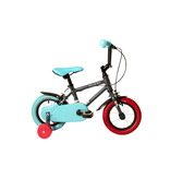 Raleigh Raleigh POP