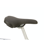 Raleigh Raleigh Pioneer Crossbar Bike
