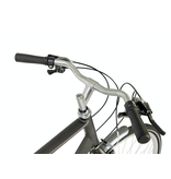 Raleigh Raleigh Pioneer Crossbar Bike