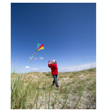 HQ Eco Line Eddy Rainbow Kite