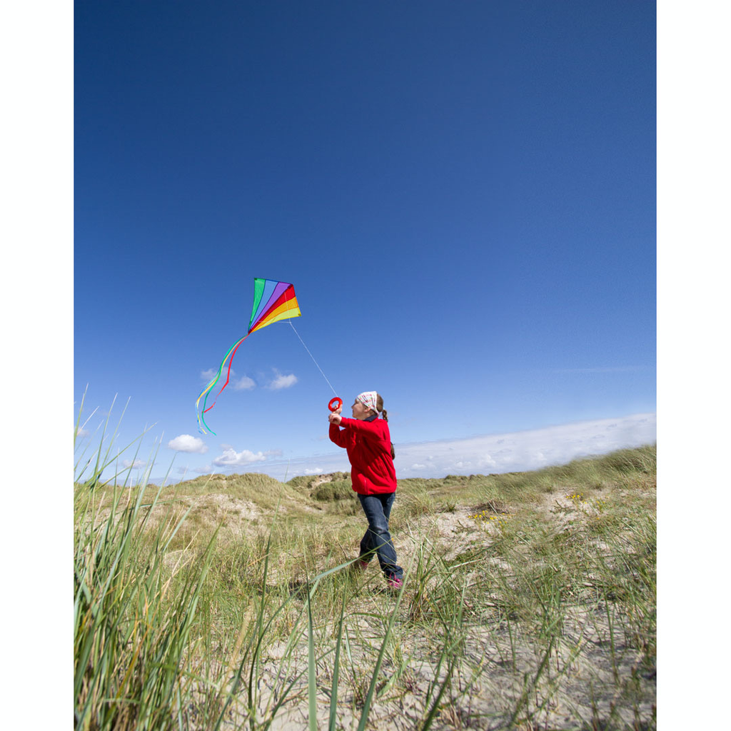 HQ Eco Line Eddy Rainbow Kite
