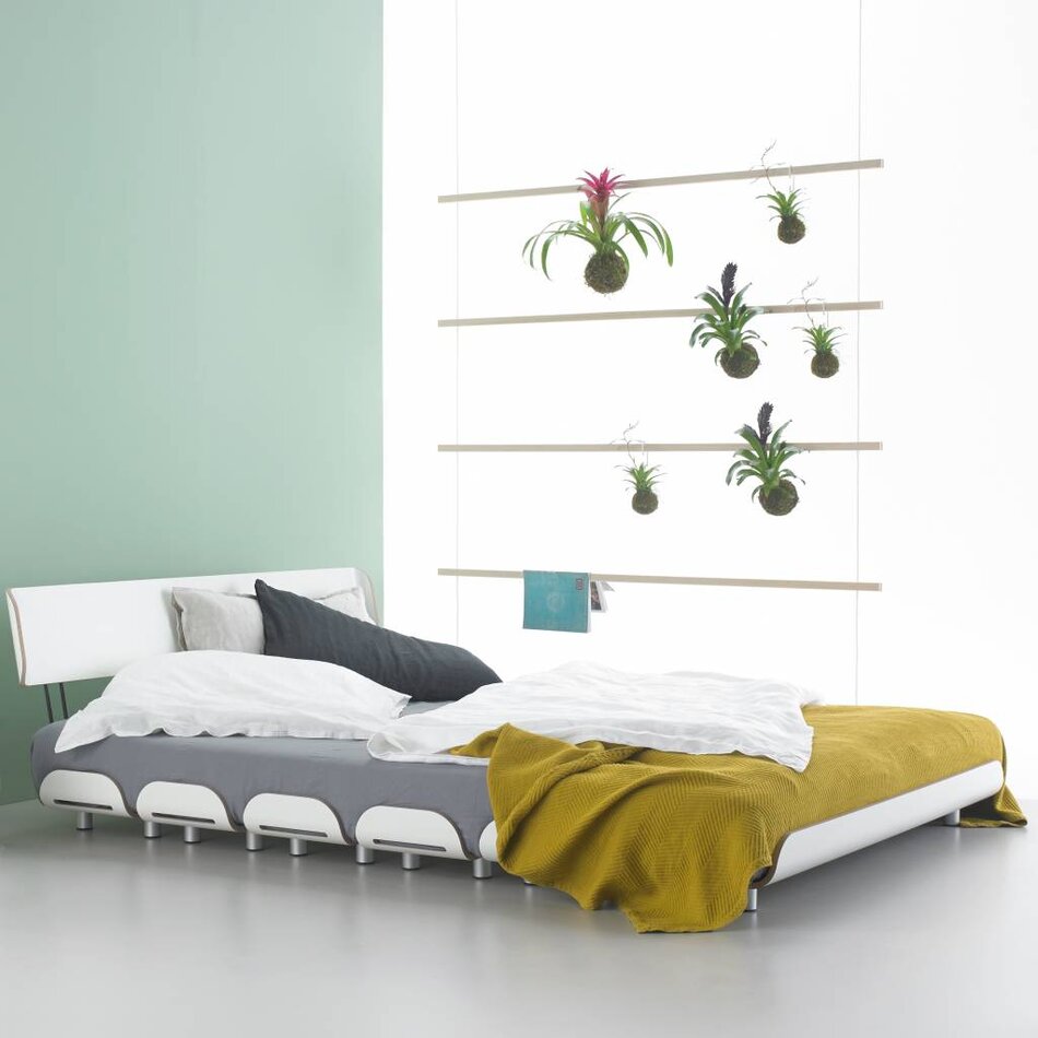 Raumtrenner: Fauler Strick | Esche