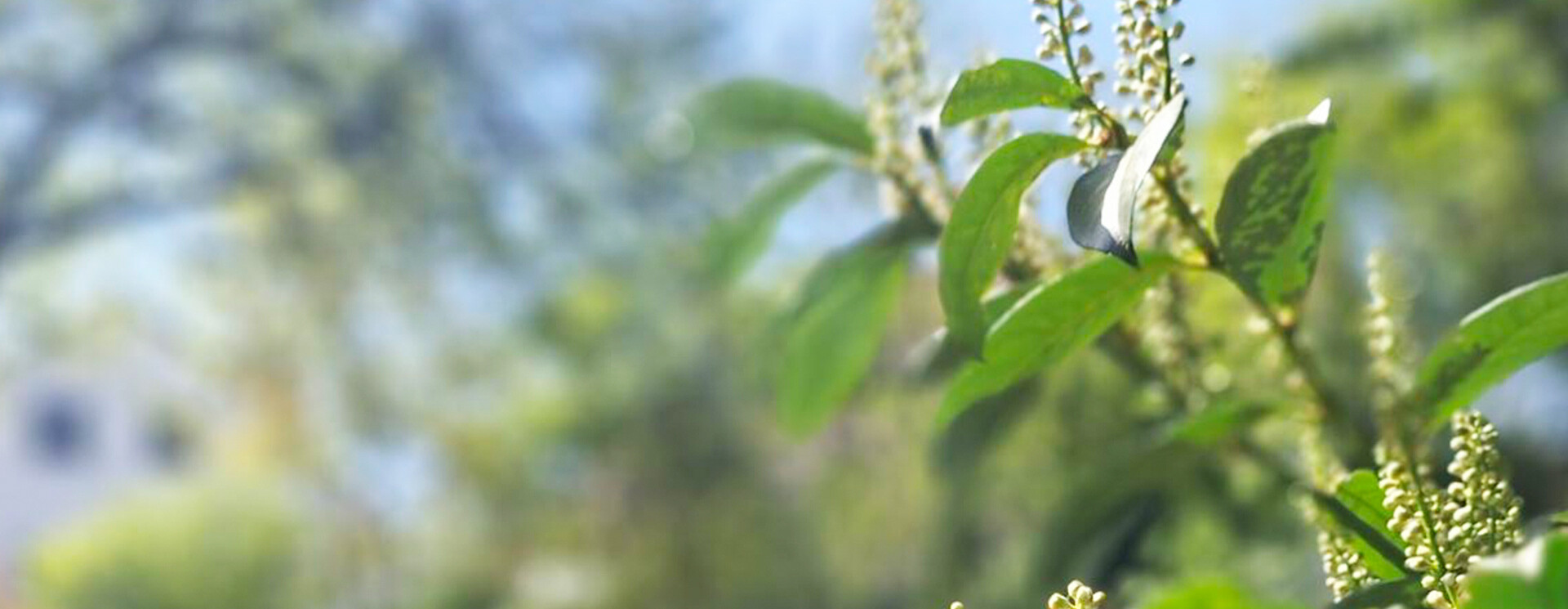 Wohnmöbel + Anderes