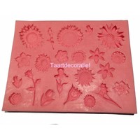 thumb-Bloemen mal multi-1