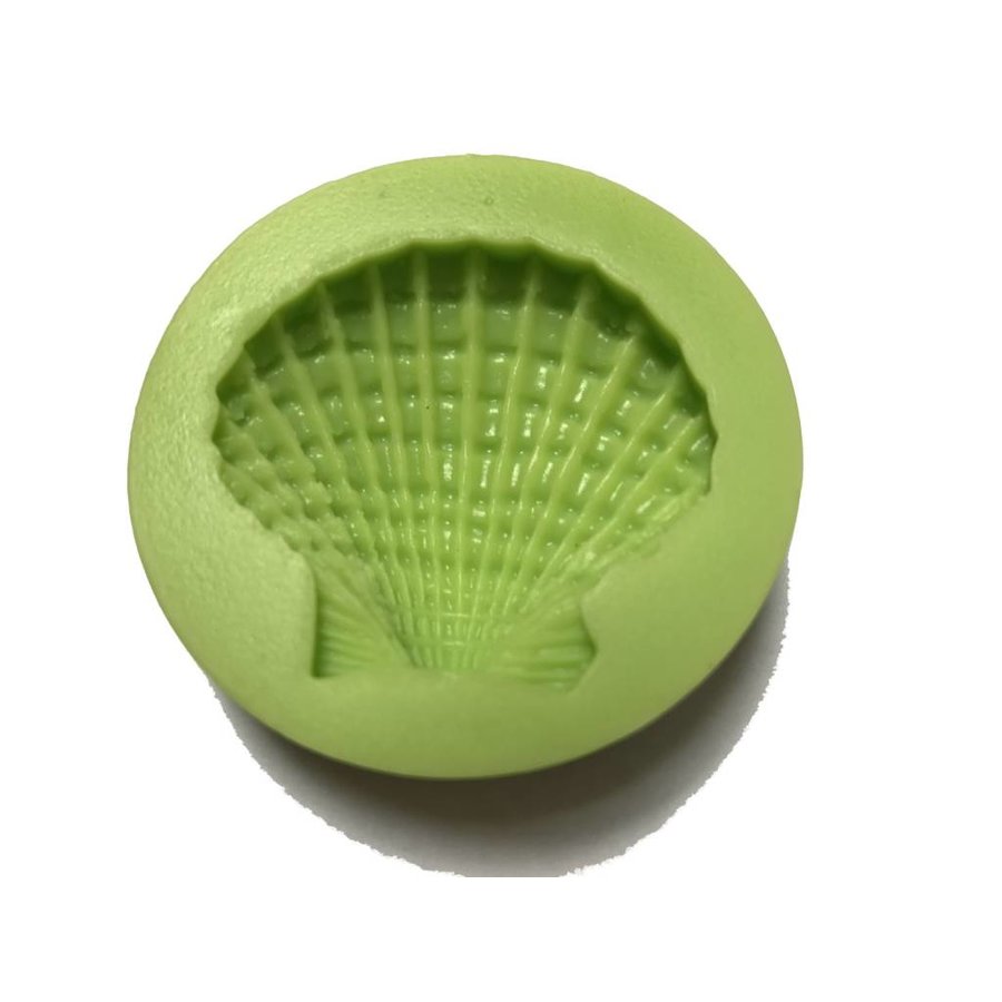 grote sint jacobsschelp mal-1