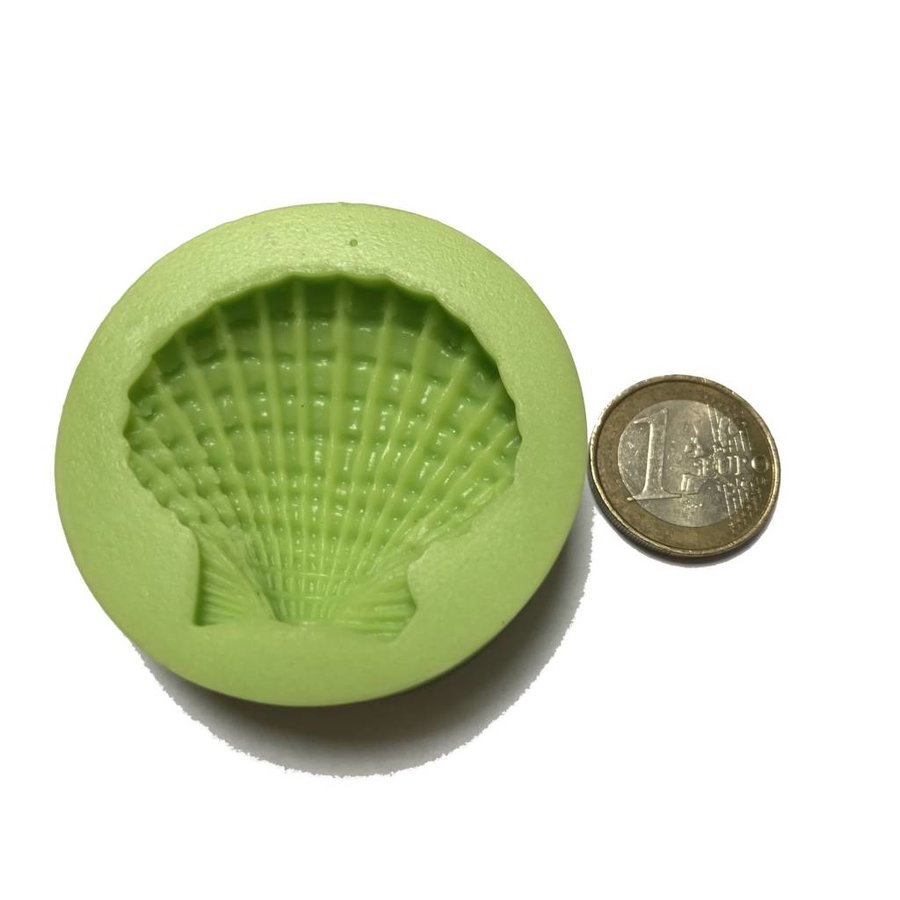 grote sint jacobsschelp mal-3