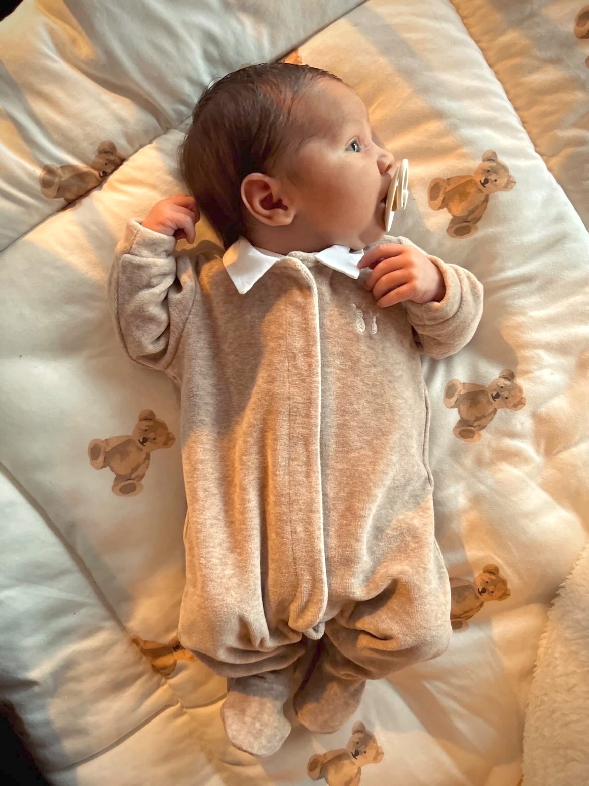 Dors Bien velours Camel