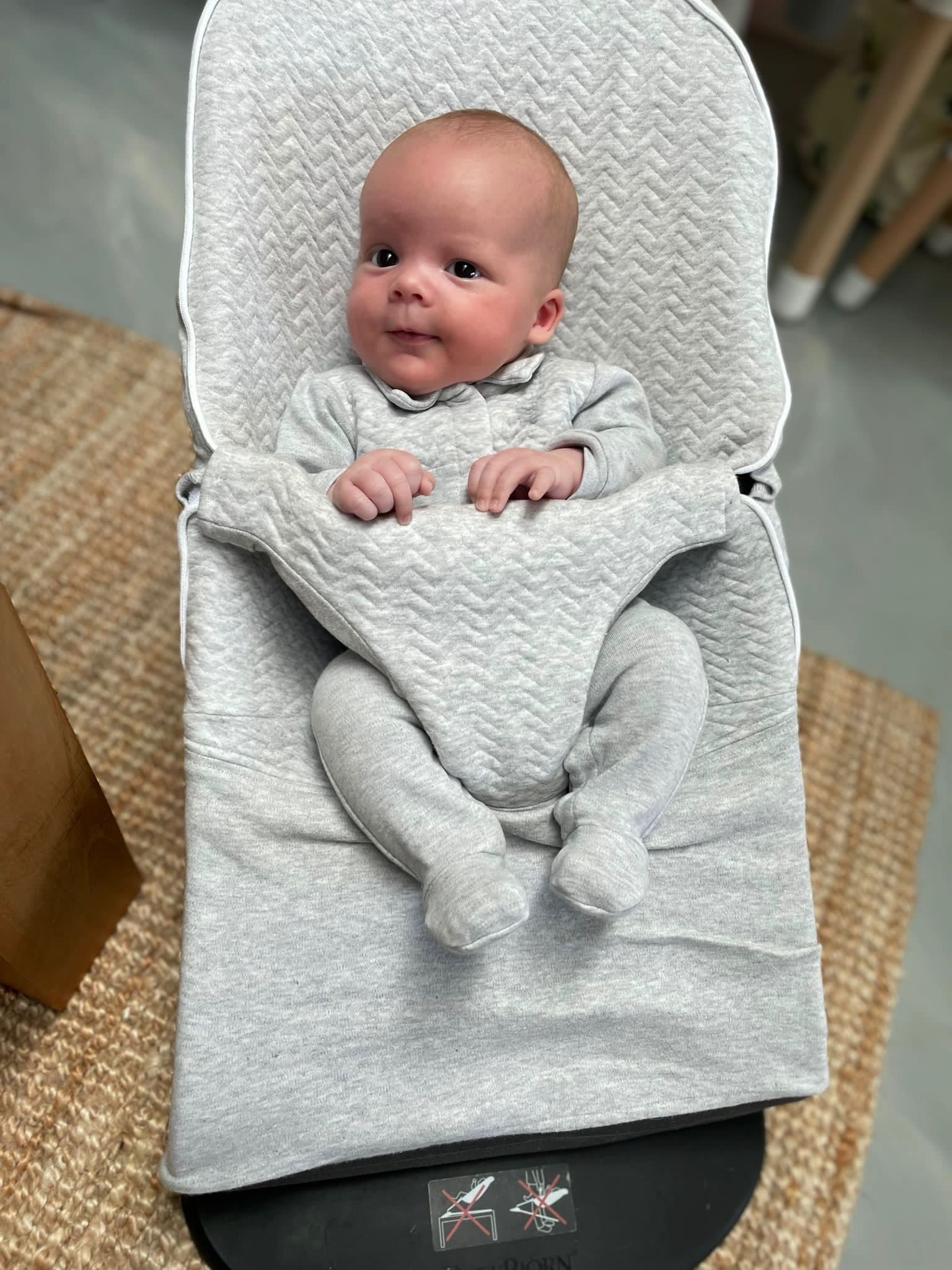 Housse de protection pour transat bébé Babybjörn Chevron Light Grey Melange