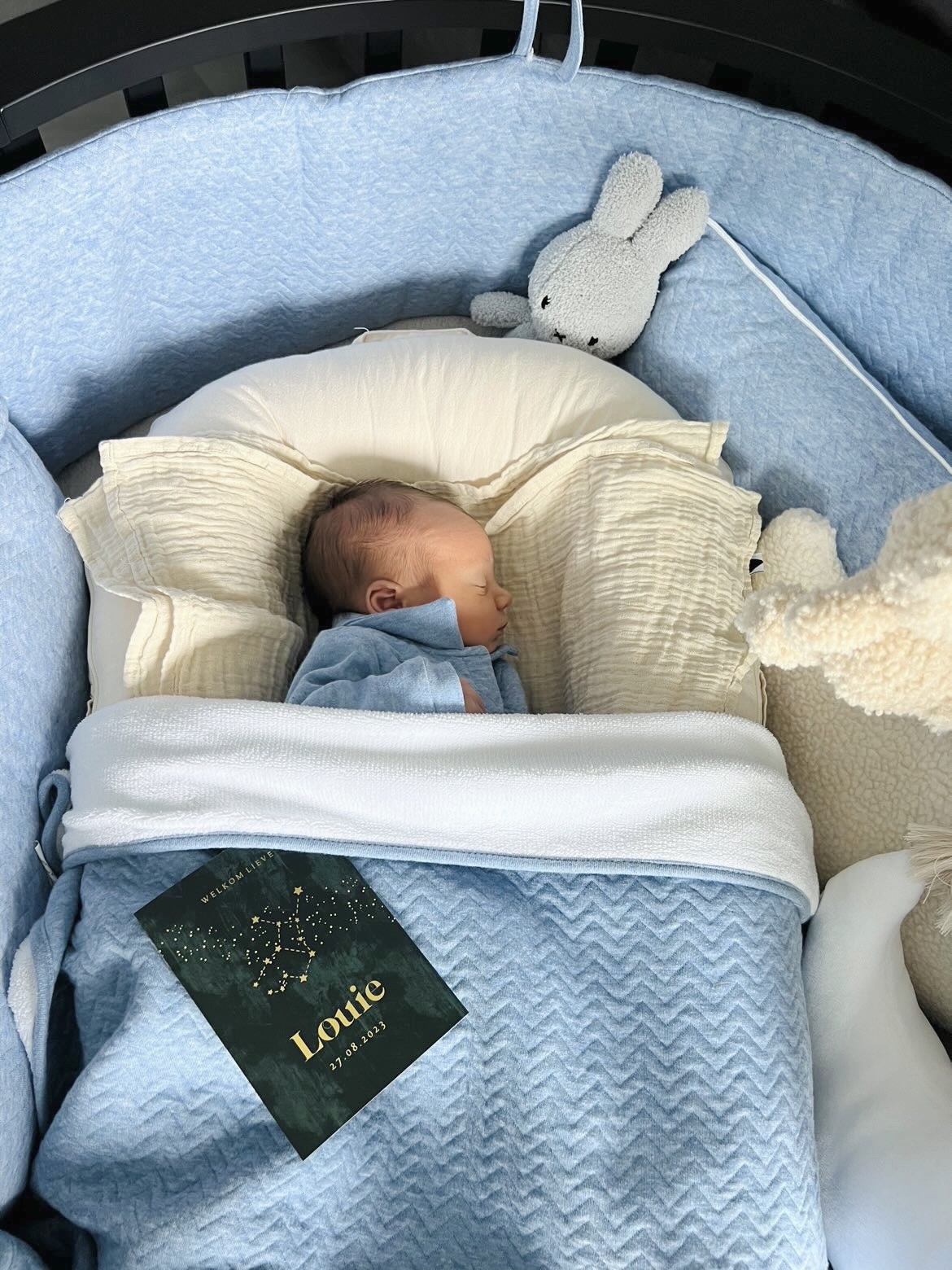 decoration Pillow Chevron Denim Blue