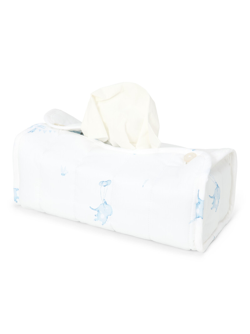 Blue Dreams Tissue box hoes