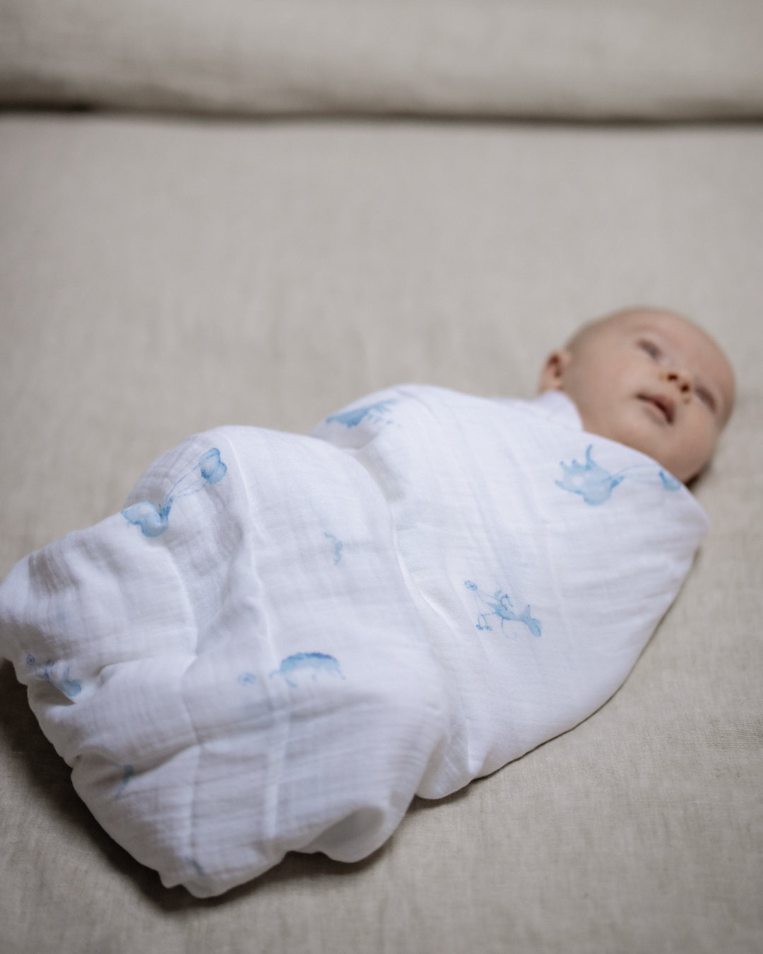 Blue Dreams Swaddle blanket 120x120cm