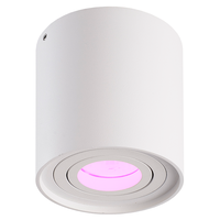 Lightexpert Smart LED Opbouwspot - Rond - Wit - 4,9W - RGB+CCT - Kantelbaar