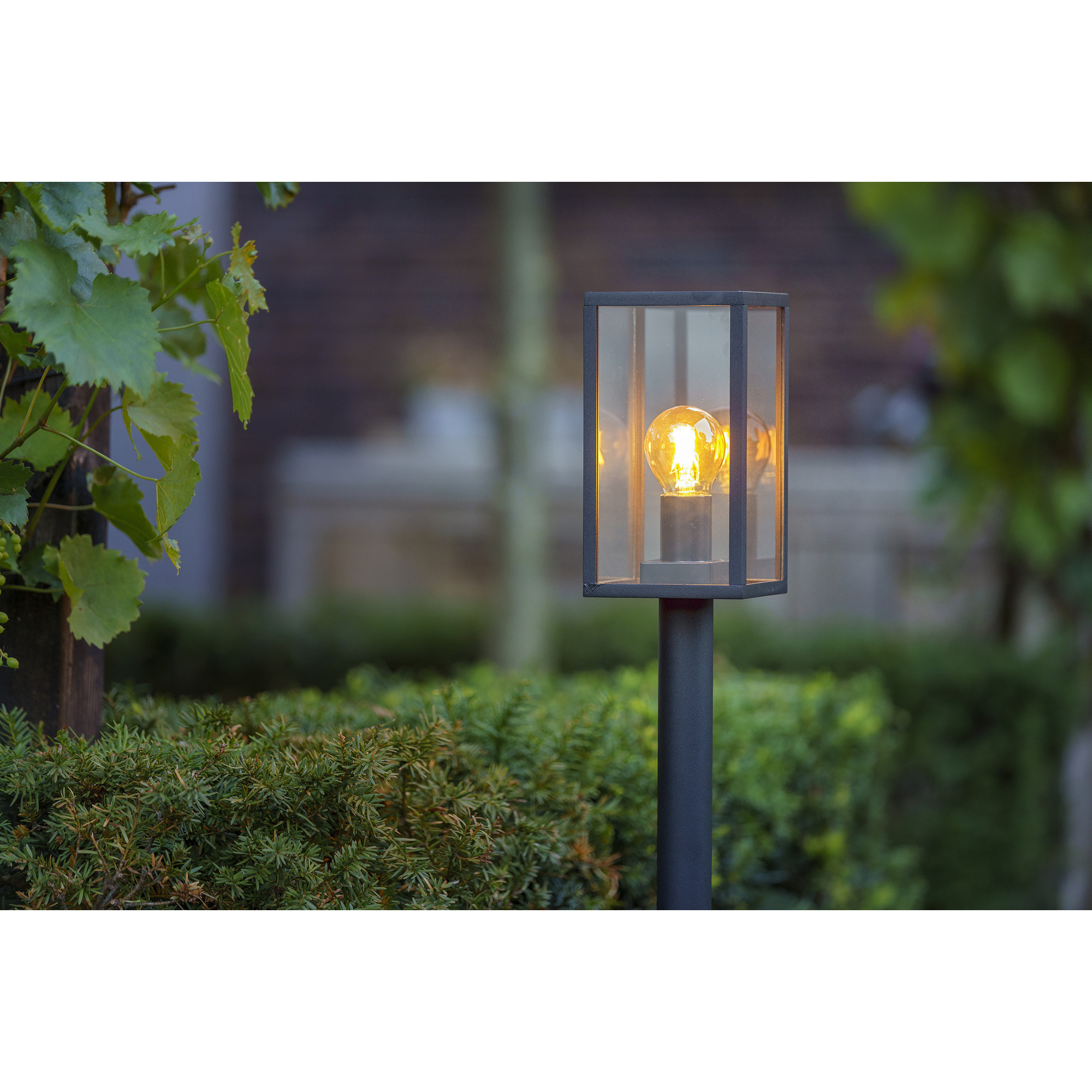 Annoteren In de meeste gevallen kever Sokkellamp Buiten LED - Limosa 70 - 12V - 4W - Lightexpert.nl