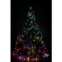 25m Calex Smart Kerstverlichting - RGB - 8.5W - IP44 Calex 25m Calex Smart Kerstverlichting - RGB - 8.5W - IP44