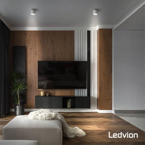 Ledvion Smart CCT GU10 LED Spot - 2700-6500K - Dimbaar - Wifi - 4,9W