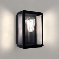 Ledvion Wandlamp Industrieel Buiten Lyra - Zwart - E27 - Glas