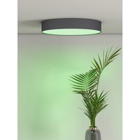 Calex Smart RGB+CCT LED Plafondlamp 16W - Ø30 cm Calex Calex Smart RGB+CCT LED Plafondlamp 16W - Ø30 cm