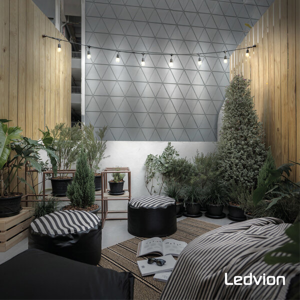 Ledvion 6x E27 LED Lamp Filament - 1W - 2100K - 50 Lumen - Clear