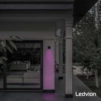 Smart Wandlamp buiten - San Diego zwart Ledvion Smart Wandlamp buiten - San Diego zwart
