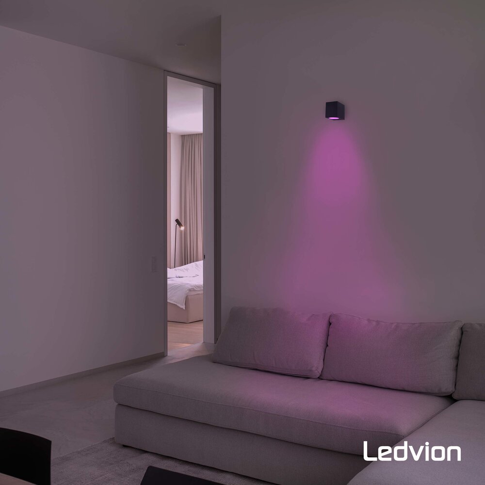 Ledvion Smart Wandlamp Buiten - San Diego - Zwart - 4,9W - RGB+CCT