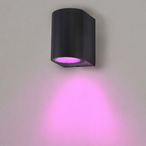 Smart Wandlamp Buiten - Sacramento - Zwart - 4,9W - RGB+CCT