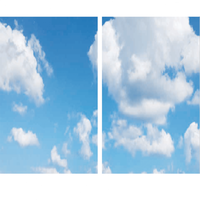 Wolkenplafond LED Paneel - Fotoprint Afbeelding Wolk - Geprint op 2 Platen - 595x595 Lightexpert Wolkenplafond LED Paneel - Fotoprint Afbeelding Wolk - Geprint op 2 Platen - 595x595