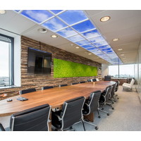 Wolkenplafond LED Paneel - Fotoprint Afbeelding Wolk - Geprint op 2 Platen - 595x595 Lightexpert Wolkenplafond LED Paneel - Fotoprint Afbeelding Wolk - Geprint op 2 Platen - 595x595