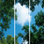 Wolkenplafond LED Paneel - Fotoprint Afbeelding Wolk en Bos - 3 Panelen - 1195x595