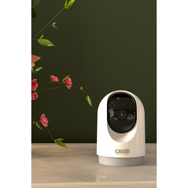 Calex Calex Smart PTZ 2K HD Camera