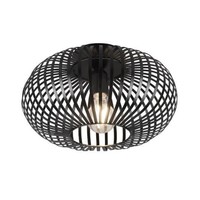 LED Plafondlamp - Ø30 cm - Metaal - Industrieel - E27 Fitting - Mat Zwart Trio Lighting LED Plafondlamp - Ø30 cm - Metaal - Industrieel - E27 Fitting - Mat Zwart