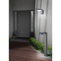 Trio Lighting LED Wandlamp Solar Buiten met Bewegingssensor - 3000K - 4,5W - IP44 - Posadas - Antraciet