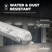 Ledvion LED TL Armatuur met Sensor 120cm - IP65 - RVS Clips