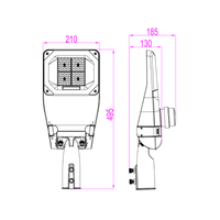 Lightexpert LED Straatlamp - Esher - 30W - IP66 - 4000K - 5 jaar garantie - 1 meter kabel