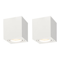 Ledvion 2x Dimbare LED Opbouwspot - Vierkant - Wit - 3W - 2700K - Kantelbaar