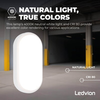 Ledvion LED Bulkhead Ovaal - 6.5W - 4000K - 700 Lumen - Wit - IP54 Waterdicht - 5 jaar garantie