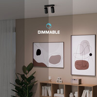 Ledvion LED Plafondspot Zwart Duo - Dimbaar - 3W - 6500K - Kantelbaar