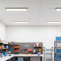 Ledvion LED TL Armatuur 60cm - Dubbel - IP65 - RVS Clips