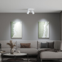 Ledvion LED Plafondspot Wit Duo - Dimbaar - 3W - 6500K - Kantelbaar