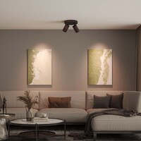 Ledvion LED Plafondspot Zwart Duo - Dimbaar - 3W - 2700K - Kantelbaar
