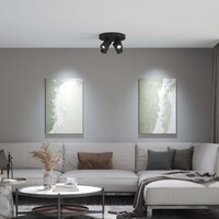 Ledvion LED Plafondspot Zwart 4-lichts - Dimbaar - 3W - 6500K - Kantelbaar