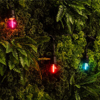 Ledvion 30m LED Prikkabel + 3m aansluitsnoer - IP65 - Koppelbaar - Incl. 30 LED Lampen