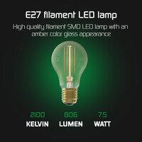 Ledvion LED Wandlamp Buiten met Schemeringssensor - 7.5W - 2100K - IP44 - Antraciet