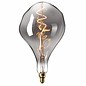 Organic - Giant Decorative LED Light Bulb - Titanium