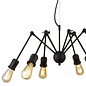 Spiderette - 6 Light Industrial Feature Light - Matt Black