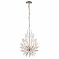 Rianna - Champagne Finished Clear Crystal Glass Feature Light